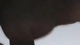 Little Bitch Doing a Nice Blowjob and Bathed in Cum - Amateur Nora MILF - Andy Z 94